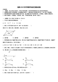 临县2025年中考数学适应性模拟试题含解析