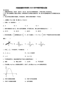 河南省南阳市邓州市2025年中考数学模拟试题含解析