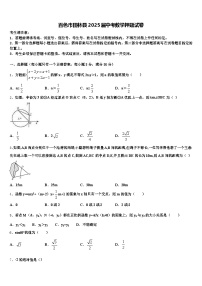 百色市田林县2025届中考数学押题试卷含解析