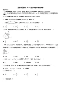 百色市田林县2025届中考数学押题试卷含解析