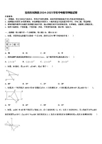 宝鸡市凤翔县2024-2025学年中考数学押题试卷含解析