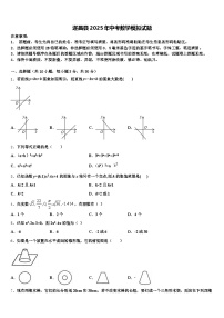 遂昌县2025年中考数学模拟试题含解析