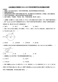 山东省烟台市莱阳市2024-2025学年初中数学毕业考试模拟冲刺卷含解析