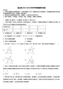雷山县2024-2025学年中考四模数学试题含解析