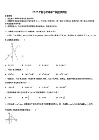 2025年新乐市中考二模数学试题含解析