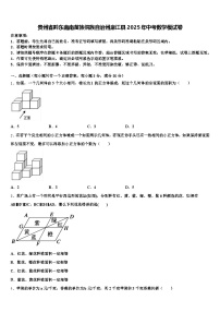 贵州省黔东南南苗族侗族自治州麻江县2025年中考数学模试卷含解析