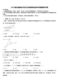 2025届云南省丽江地区玉龙纳西族自治县中考猜题数学试卷含解析
