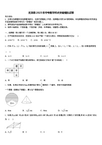 光泽县2025年中考数学对点突破模拟试卷含解析