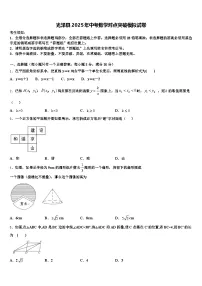 光泽县2025年中考数学对点突破模拟试卷含解析