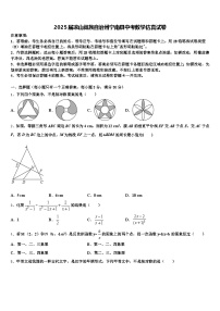 2025届凉山彝族自治州宁南县中考数学仿真试卷含解析