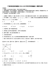 广西壮族北海市银海区2024-2025学年中考考前最后一卷数学试卷含解析