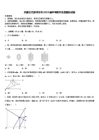 内蒙古巴彦淖尔市2025届中考数学全真模拟试题含解析