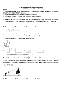 2025年徐州市沛县中考数学模拟试题含解析