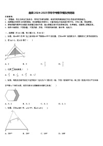 南县2024-2025学年中考数学模拟预测题含解析