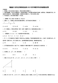 海南省三亚市白沙黎族自治县2025年中考数学对点突破模拟试卷含解析