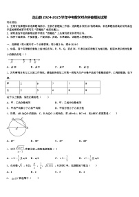 龙山县2024-2025学年中考数学对点突破模拟试卷含解析