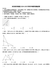 哈尔滨市阿城区2024-2025学年中考数学四模试卷含解析