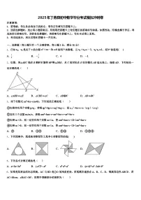 2025年丁青县初中数学毕业考试模拟冲刺卷含解析