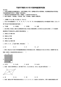 宁波市宁海县2025年十校联考最后数学试题含解析