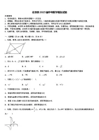 会泽县2025届中考数学模拟试题含解析