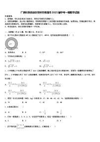 广西壮族自治区桂林市荔浦市2025届中考一模数学试题含解析