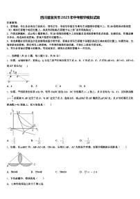 四川省宜宾市2025年中考数学模拟试题含解析