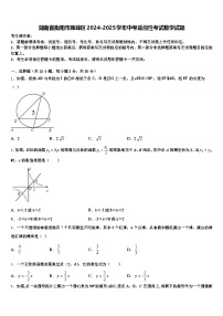 湖南省衡阳市雁峰区2024-2025学年中考适应性考试数学试题含解析
