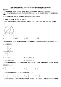 湖南省衡阳市雁峰区2024-2025学年中考适应性考试数学试题含解析