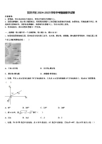 甘井子区2024-2025学年中考猜题数学试卷含解析