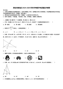 青岛市黄岛区2024-2025学年中考数学考试模拟冲刺卷含解析