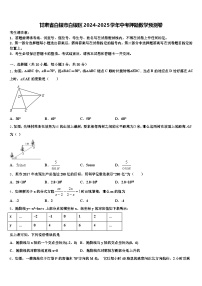 甘肃省白银市白银区2024-2025学年中考押题数学预测卷含解析