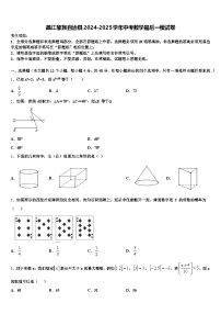 昌江黎族自治县2024-2025学年中考数学最后一模试卷含解析