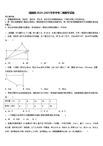 城固县2024-2025学年中考二模数学试题含解析