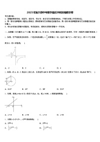 2025年始兴县中考数学最后冲刺浓缩精华卷含解析