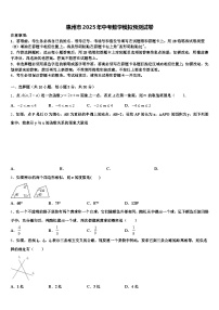 惠州市2025年中考数学模拟预测试卷含解析