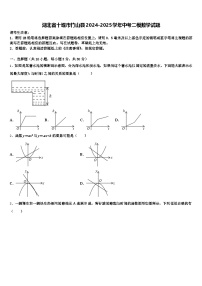 湖北省十堰市竹山县2024-2025学年中考二模数学试题含解析