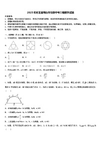 2025年河北省邢台市任县中考三模数学试题含解析