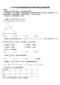 2025年红河哈尼族彝族自治州红河县中考数学适应性模拟试题含解析
