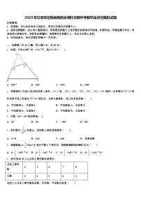 2025年红河哈尼族彝族自治州红河县中考数学适应性模拟试题含解析