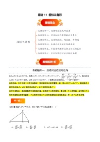 易错11 相似三角形（六大易错分析+举一反三+易错题通关）-备战中考数学考试易错题（全国通用） 试题 含答案