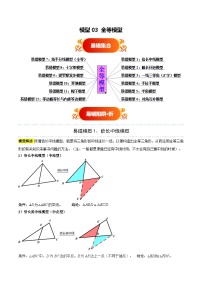 模型03 全等模型（十二大易错分析+举一反三+易错题通关）-备战中考数学考试易错题（全国通用） 试题 含答案