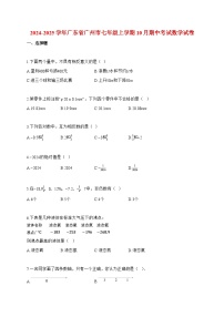 2024~2025学年度广东省广州市七年级上册10月期中考试数学试卷【附答案】