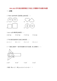 2024~2025学年度重庆教育集团八年级上册期中考试数学试卷【附答案】