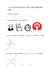 2024~2025学年度重庆市九年级上册11月期中考试数学试卷【附答案】