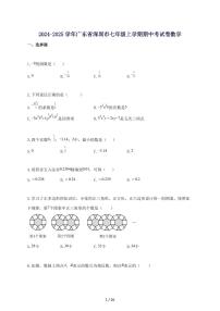 2024_2025学年广东省深圳市七年级上册期中考试题数学-附答案