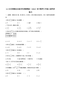 初中数学湘教版（2024）八年级上册（2024）第2章 分式2.1 分式的概念及基本性质精品综合训练题
