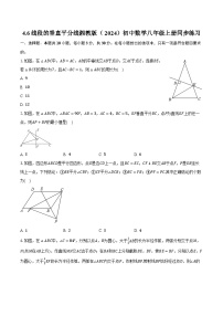 初中湘教版（2024）4.6 线段的垂直平分线优秀练习