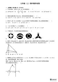 河北省邯郸市武安市邑城镇中学、邑城镇赵店中学联考2025-2026学年九年级上学期10月期中数学试题