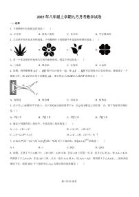 湖北省武汉市江岸区2025--2026学年八年级上学期九月月考数学试卷+