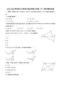 2024-2025学年四川大学附中西区学校七年级（下）期中数学试卷-自定义类型